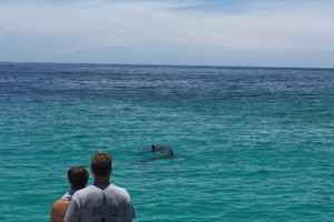 Panama City Beach: Delfinsafari med katamaran