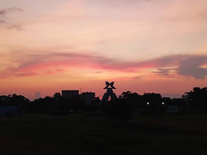 Pinar del rio