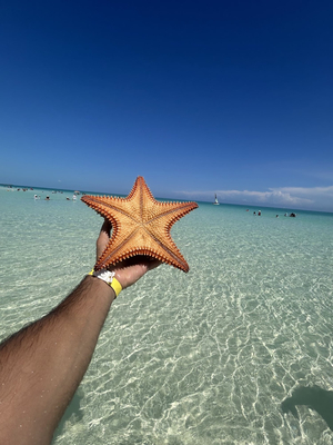 Playa Pilar Cayo Guillermo