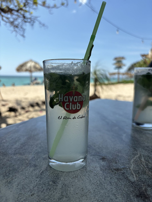 Ranchón Lost Paradise