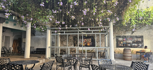 The Patio
