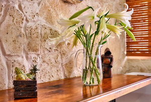 Tulip Penthouse