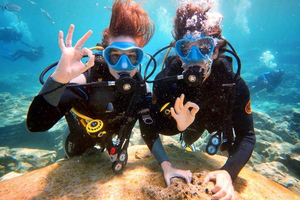 Beginners Scuba Diving Experience in Turtle Area