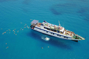 Cyprus: Odyssey Boat Safari from Larnaca to Protaras