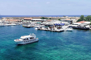 FROM PAPHOS: 1.5 HRS Glass Bottom Boat Cruise with swimming