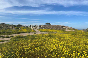 From Paphos: Famagusta, Salamis, and Varosha Walking Tour