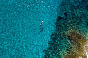 From Paphos/Polis: Akamas National Park by Jeep and Boat