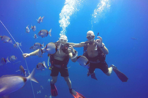 Larnaca: Private Zenobia Beginners Divers