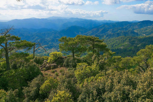 Limassol: Beauty, Nature and Charm of Troodos Mountains