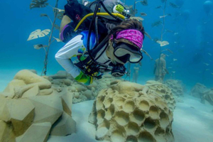 Musan Underwater Museum Scuba Diving Tour Cyprus