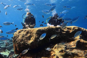Open Water Diver -kurssi yksityisen oppaan kanssa Kyproksella