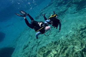 Paphos: Discover Scuba Diving Experience with Pickup