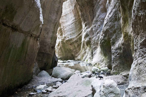 Paphos: Half Day Jeep Tour Akamas Peninsula (Private)
