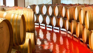 Aes Ambelis Winery