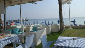 Bikini Beach Bar