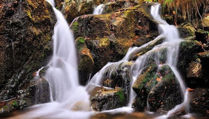 Caledonia Falls