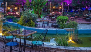 Garden Day & Night