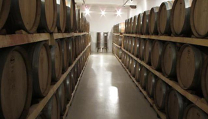 Hadjiantonas Winery