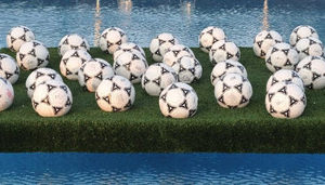 Lemon Park - Sport