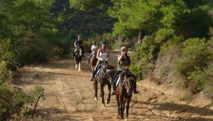 Ride in Cyprus