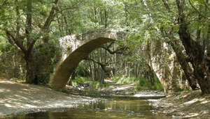 Troodos National Forest Park