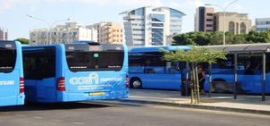 Reisen auf Zypern mit dem Bus
