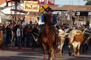 Dallas and Fort Worth City Sightseeing Tour Small-Group