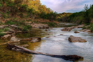 Dinosaur Valley State Park Full-Day Adventure from Dallas