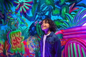 Grapevine: Meow Wolf Het Echte Onwerkelijke Ticket