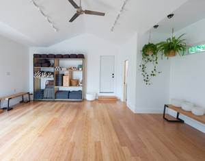 Alula Collective