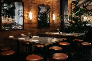 CBD Provisions