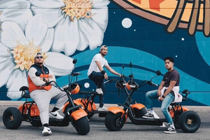 Sightseeing och historia med E-Scooter i centrum