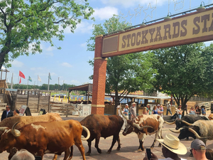 Fort Worth Stock Yards Company - Texas State Historical marker