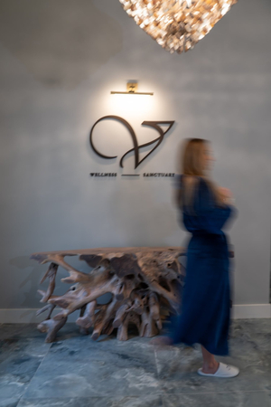 VIE, A Wellness Sanctuary