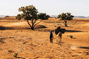 2-Day Tour: El Borj Desert, Legzira, and Sidi Ifni from Agadir
