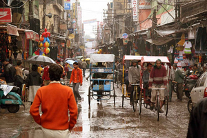 tour di mezza giornata (4 ore) nell'Antica Delhi
