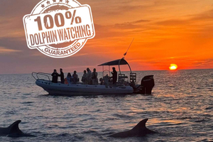 Alcudia: avvistamento di delfini garantito al 100%, semi-privato