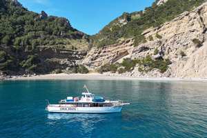 Alcúdia: Passeio de barco com comida, snorkel e SUP, grupo pequeno
