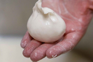Apulia: Wycieczka do Masseria Seppunisi, degustacja serów i burraty