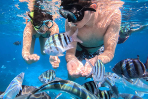 Dagsomvisning med snorkling i Blue Lagoon og skjult fossefall