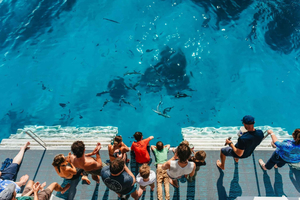 Bundaberg: Lady Musgrave Island und Great Barrier Reef Tour
