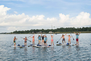 Charleston: Safari de golfinhos em Folly Beach Stand Up Paddleboard