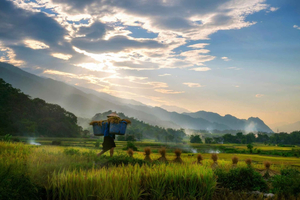 Chiang Mai: 3 päivän Karen-heimon trekking-retki