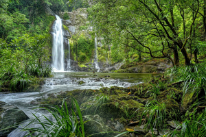 Tour delle acque di Daintree, veicoli fuoristrada e pranzo leggero.