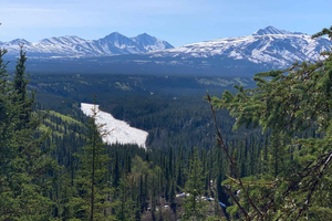 Parco nazionale di Denali: escursione guidata sul sentiero dei tre laghi