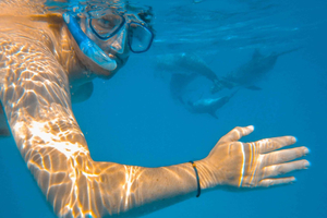 Diani Dhow-eventyr til Wasini Island - Kisite Marinepark