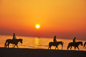Djerba: 2 Stunden Reiten in der blauen Lagune.