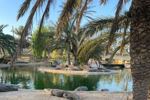Djerba: Guidet halv- eller heldagstur med lunsj
