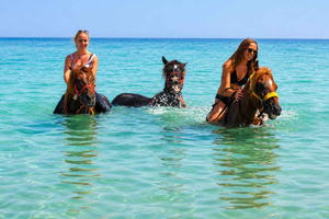 Djerba: nuotata a cavallo nelle acque cristalline