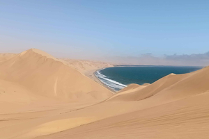 Crociera con delfini e foche: tour in battello delle dune di Sandwich Harbour